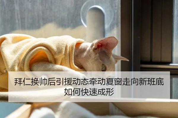 拜仁换帅后引援动态牵动夏窗走向新班底如何快速成形